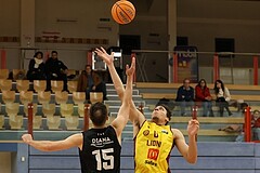 Basketball Zweite Liga 2024/25, Grunddurchgang 11.Runde Traiskirchen Lions NextGen vs. Güssing Blackbirds


