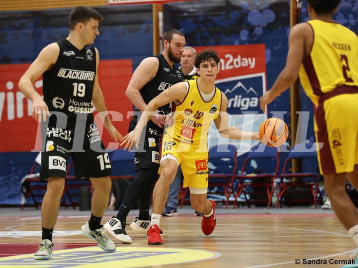 Basketball Zweite Liga 2024/25, Grunddurchgang 11.Runde Traiskirchen Lions NextGen vs. Güssing Blackbirds



