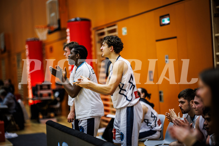 Basketball, Basketball Zweite Liga 2024/25, Grunddurchgang 11.Runde, Vienna Timberwolves, Mattersburg Rocks, Vienna Timberwolves