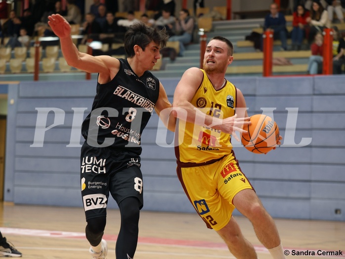 Basketball Zweite Liga 2024/25, Grunddurchgang 11.Runde Traiskirchen Lions NextGen vs. Güssing Blackbirds


