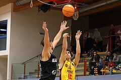 Basketball Zweite Liga 2024/25, Grunddurchgang 11.Runde Traiskirchen Lions NextGen vs. Güssing Blackbirds


