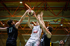 Basketball, Basketball Austria Cup, 1.Runde, BBC Nord Dragonz, Wörthersee Piraten, Dragisa Najdanovic (7)