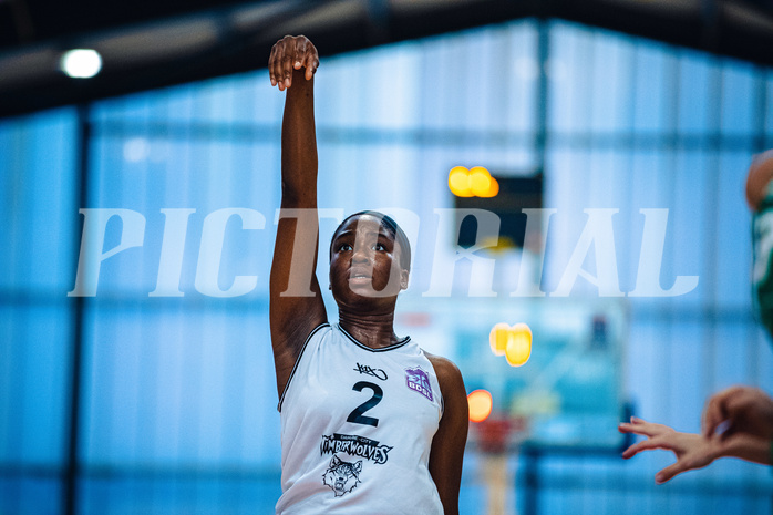 Basketball Basketball Damen Superliga 2021/22, Grunddurchgang 2.Runde Vienna D.C. Timberwolves vs. UBI Graz

