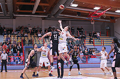Basketball Basketball Superliga 2019/20, Grunddurchgang 15.Runde Runde Traiskirchen Lions  vs. Flyers Wels
