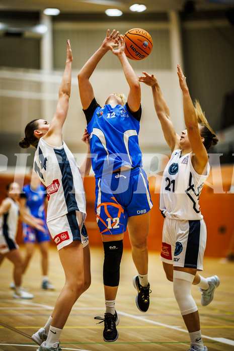 Basketball, Win2Day Basketball Damen Superliga 2023/24, Grunddurchgang 2.Runde, Vienna Timberwolves, DBB LZ OÖ, Melanie Fischer (14), Bettina Kunz (12), Petra Pammer (21)