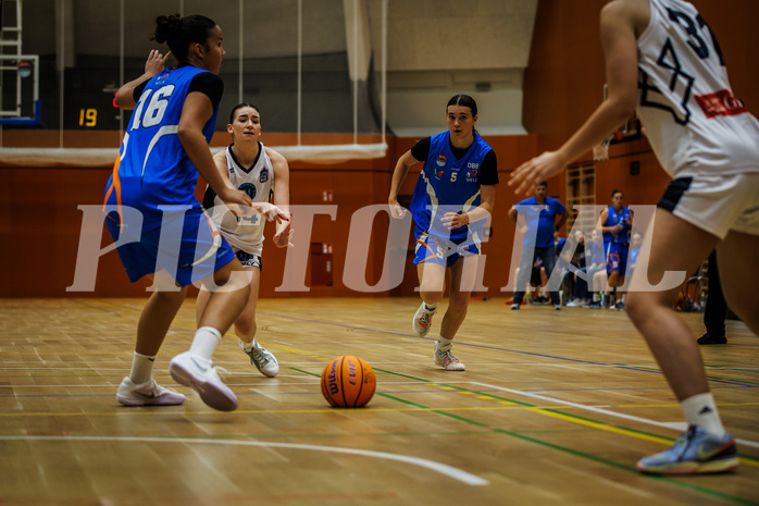 Basketball, Win2Day Basketball Damen Superliga 2023/24, Grunddurchgang 2.Runde, Vienna Timberwolves, DBB LZ OÖ, Melanie Fischer (14)