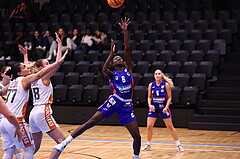 10.12.2023, Graz, Raiffeisen Sportpark, Basketball Damen Superliga 2023/24, Grunddurchgang 6.Runde, UBSC-DBBC Graz - BK Raiffeisen Duchess Klosterneuburg,  