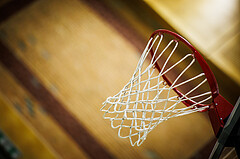 Basketball, Win2Day Basketball Damen Superliga 2023/24, Grunddurchgang 6.Runde, Vienna United, Vienna Timberwolves, feature, Korb