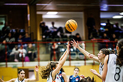 Basketball, Win2Day Basketball Damen Superliga 2023/24, Grunddurchgang 6.Runde, Vienna United, Vienna Timberwolves, Aleksandra Novakovic (8)