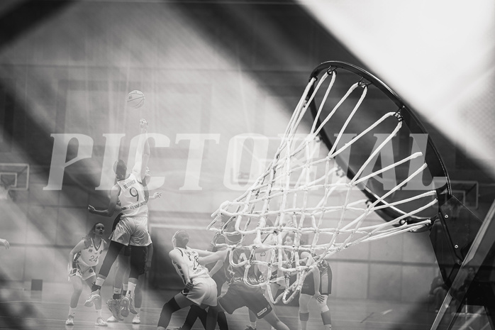 Basketball, Win2Day Basketball Damen Superliga 2023/24, Grunddurchgang 6.Runde, Vienna United, Vienna Timberwolves, feature