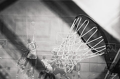 Basketball, Win2Day Basketball Damen Superliga 2023/24, Grunddurchgang 6.Runde, Vienna United, Vienna Timberwolves, feature