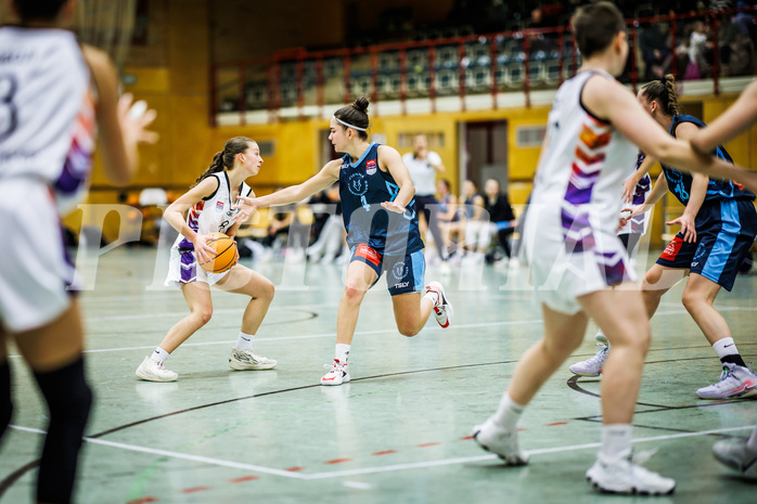 Basketball, Win2Day Basketball Damen Superliga 2023/24, Grunddurchgang 6.Runde, Vienna United, Vienna Timberwolves, Jula Schmidt (8), Magdalena Schmidt (4)
