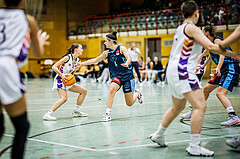 Basketball, Win2Day Basketball Damen Superliga 2023/24, Grunddurchgang 6.Runde, Vienna United, Vienna Timberwolves, Jula Schmidt (8), Magdalena Schmidt (4)