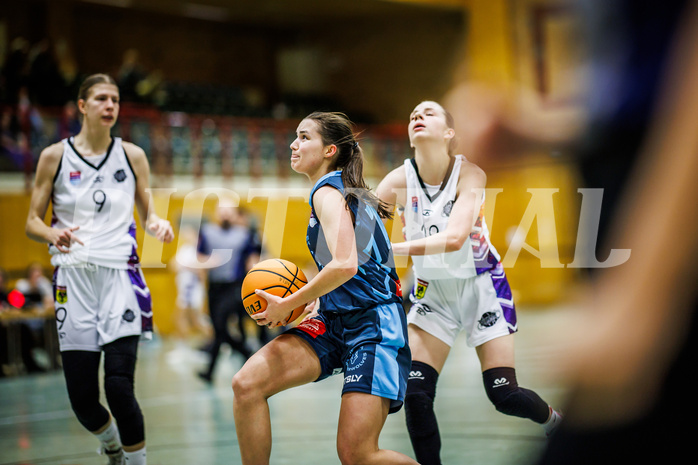 Basketball, Win2Day Basketball Damen Superliga 2023/24, Grunddurchgang 6.Runde, Vienna United, Vienna Timberwolves, Lilian Schwarzenecker (12)
