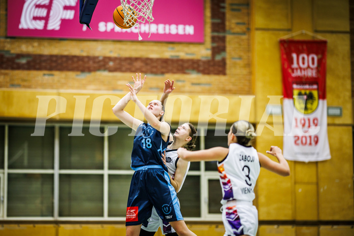 Basketball, Win2Day Basketball Damen Superliga 2023/24, Grunddurchgang 6.Runde, Vienna United, Vienna Timberwolves, Bianca-Alexandra Rantz (18)