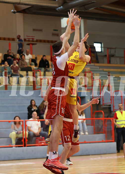 Basketball Zweite Liga 2024/25, Grunddurchgang 1.Runde Traiskirchen Lions NextGen vs. Future Team Steiermark


