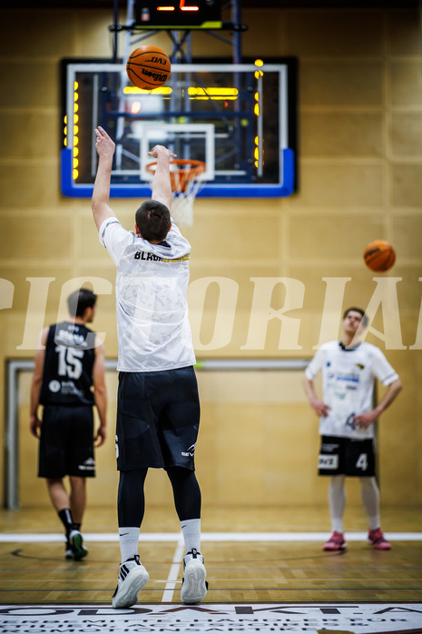 Basketball, Basketball Zweite Liga 2023/24, Grunddurchgang 13.Runde, Mistelbach Mustangs, Güssing Blackbirds, 