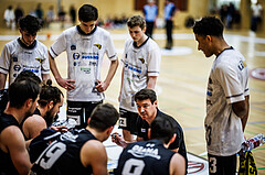 Basketball, Basketball Zweite Liga 2023/24, Grunddurchgang 13.Runde, Mistelbach Mustangs, Güssing Blackbirds, Daniel Müllner (Haed Coach)