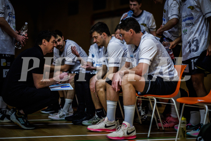 Basketball, Basketball Zweite Liga 2023/24, Grunddurchgang 13.Runde, Mistelbach Mustangs, Güssing Blackbirds, Daniel Müllner (Haed Coach)
