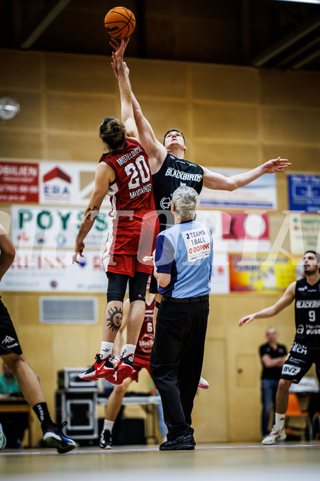 Basketball, Basketball Zweite Liga 2023/24, Grunddurchgang 13.Runde, Mistelbach Mustangs, Güssing Blackbirds, Ian Moschik (20), Sebastian Koch (5)