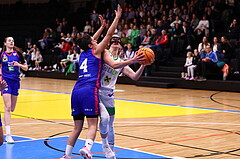22.11.2024, Graz, Raiffeisen Sportpark, Basketball Damen Superliga 2024/25, Grunddurchgang, 6.Runde, UBI Holding Graz vs. UBSC-DBBC Graz