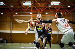 Basketball, Basketball Zweite Liga, Viertelfinale Spiel 2, BBC Nord Dragonz, Mattersburg Rocks, Jan NICOLI (6)