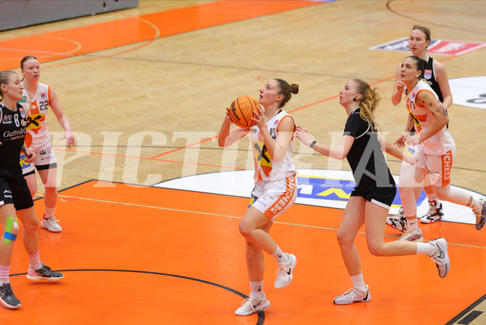 Basketball Damen Superliga 2023/24, Grunddurchgang 13.Runde BK Duchess Klosterneuburg vs. Basket Flames


