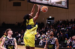 08.03.2024, Graz, Raiffeisen Sportpark Graz, Basketball Superliga 2023/24, 2.Platzierungsrunde, UBSC Raiffeisen Graz - OCS Swans Gmunden