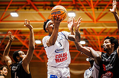 Basketball, win2day Basketball Superliga 2024/25, Grunddurchgang Runde 15, BBC Nord Dragonz, Kapfenberg Bulls, Rayshawn Mart (3)