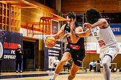 Basketball, win2day Basketball Superliga 2024/25, Grunddurchgang Runde 15, BBC Nord Dragonz, Kapfenberg Bulls, Nemanja Krstic (22)