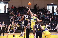 29.12.2024, Graz, Raiffeisen Sportpark Graz, Basketball Superliga 2024/25, Grunddurchgang, Runde 15, UBSC Graz - Swans Gmunden