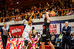 Basketball, win2day Basketball Superliga 2024/25, Grunddurchgang Runde 15, BBC Nord Dragonz, Kapfenberg Bulls, 