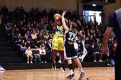 29.12.2024, Graz, Raiffeisen Sportpark Graz, Basketball Superliga 2024/25, Grunddurchgang, Runde 15, UBSC Graz - CITIES Panthers Fürstenfeld Raiffeisen Swans Gmunden