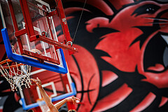 Basketball, Win2Day Superliga 2024/25, Grunddurchgang 15.Runde, Traiskirchen Lions, Fuerstenfeld Panthers, Armin Hrstic (4), Aleksej Kostic (6)Aleksej Kostic (6)