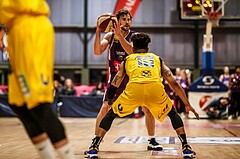 Basketball, ABL 2018/19, Grunddurchgang 12.Runde, Vienna D.C. Timberwolves, UBSC Graz, Joseph Scott (5)