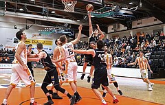 Basketball ABL 2017/18, Grunddurchgang 11.Runde BK Dukes Klosterneuburg vs. Traiskirchen Lions


