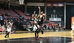 Basketball ABL 2017/18, Grunddurchgang 1.Runde BC Vienna vs. Wels Flyers


